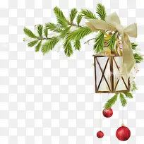 采购产品树 植物 树枝-空若网 采购产品树 植物 树枝-空若网