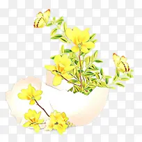 花朵 黄色 植物-空若网 花朵 黄色 植物-空若网