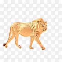 狮子 动物形象 野生动物-空若网 狮子 动物形象 野生动物-空若网