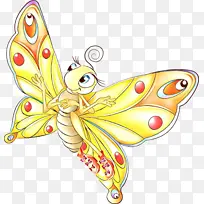 蝴蝶 昆虫 飞蛾和蝴蝶-空若网 蝴蝶 昆虫 飞蛾和蝴蝶-空若网