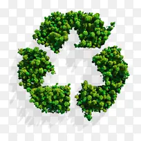 绿色 草 植物-空若网 绿色 草 植物-空若网