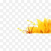 ��ɫ ��ɫ ֲ��-������