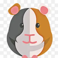 ��ͨ ���� ����-������