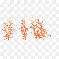 ���� ��֦ ��-������