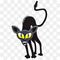 ��ͨ ��è ����-������