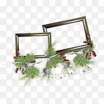 植物 树 树枝-空若网 植物 树 树枝-空若网