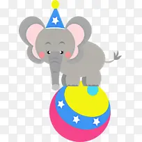 ���� ��ͨ-������