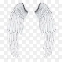 翅膀 天使 耳环-空若网 翅膀 天使 耳环-空若网