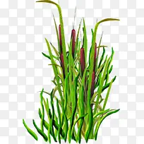 ֲ�� �� ��-������