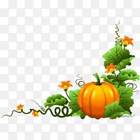 天然食品 南瓜 卡拉巴扎-空若网 天然食品 南瓜 卡拉巴扎-空若网