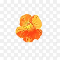 ʥ������ ʥ����-������