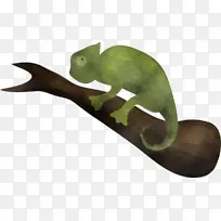 动物形象 恐龙-空若网 动物形象 恐龙-空若网