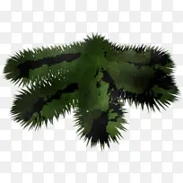 ֲ�� Ҷ�� ��-������