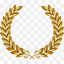 黄色 叶子 草科-空若网 黄色 叶子 草科-空若网