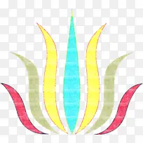 植物 对称-空若网 植物 对称-空若网