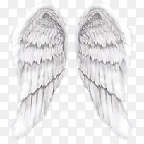 ��ɫ�����ë��ʹ����-������