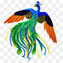 翅膀 鸟 鸟喙-空若网 翅膀 鸟 鸟喙-空若网