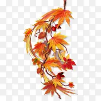 Ҷ�� ��ɫ ��ɫ-������