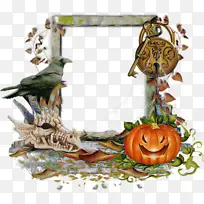 树 南瓜 植物-空若网 树 南瓜 植物-空若网