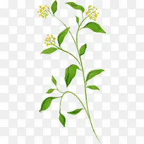 ˮ�ʻ� ���� ʪī-������