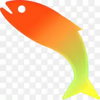 橙色 黄色 鳍-空若网 橙色 黄色 鳍-空若网