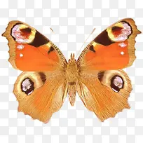 �ɶ�ͺ��� ���� ����-������