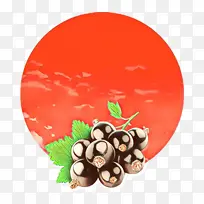 植物 食品 浆果-空若网 植物 食品 浆果-空若网