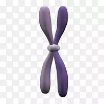 紫罗兰薰衣草信息技术-空若网 紫罗兰薰衣草信息技术-空若网