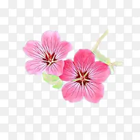 粉色 指甲 食物-空若网 粉色 指甲 食物-空若网