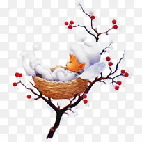 树枝 植物 树-空若网 树枝 植物 树-空若网