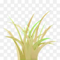 草 植物 黄色-空若网 草 植物 黄色-空若网