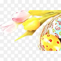 橙色 黄色 花-空若网 橙色 黄色 花-空若网