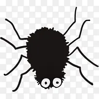 蜘蛛 万圣节-空若网 蜘蛛 万圣节-空若网