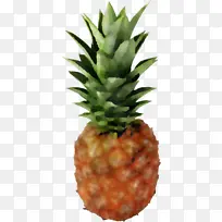 ���� ʳƷ ֲ��-������