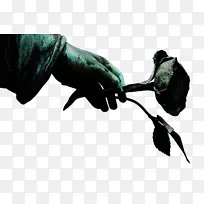 手 手势 翅膀-空若网 手 手势 翅膀-空若网