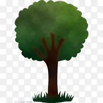 叶子 树 植物-空若网 叶子 树 植物-空若网