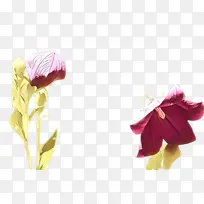 ��ɫ ���� �ձ�-������