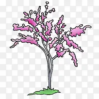 树枝 树 植物-空若网 树枝 树 植物-空若网