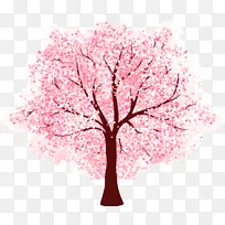 树 植物 粉色-空若网 树 植物 粉色-空若网