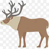 ѱ¹ ʥ����ѱ¹ ʥ����-������