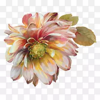 Ë®²Ê»£¬Ë®²Ê»-¿ÕÈôÍø Ë®²Ê»£¬Ë®²Ê»-¿ÕÈôÍø