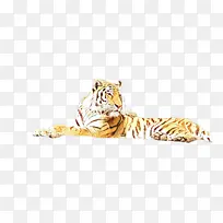 红色 水果 植物-空若网 红色 水果 植物-空若网