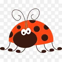 橙子 瓢虫 昆虫-空若网 橙子 瓢虫 昆虫-空若网