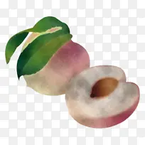 植物 食物 水果-空若网 植物 食物 水果-空若网