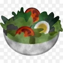 叶 冬青 植物-空若网 叶 冬青 植物-空若网