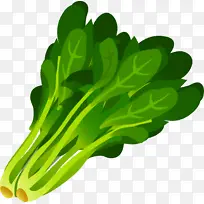 绿色 蔬菜 叶菜-空若网 绿色 蔬菜 叶菜-空若网