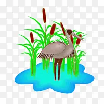 草 火烈鸟 鸟-空若网 草 火烈鸟 鸟-空若网