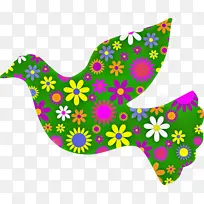 轮-空若网 轮-空若网