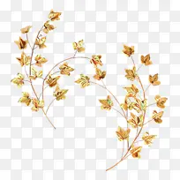 花 植物 花梗-空若网 花 植物 花梗-空若网