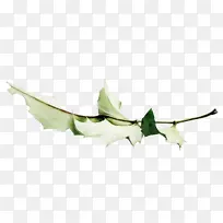 ���� ʥ����-������